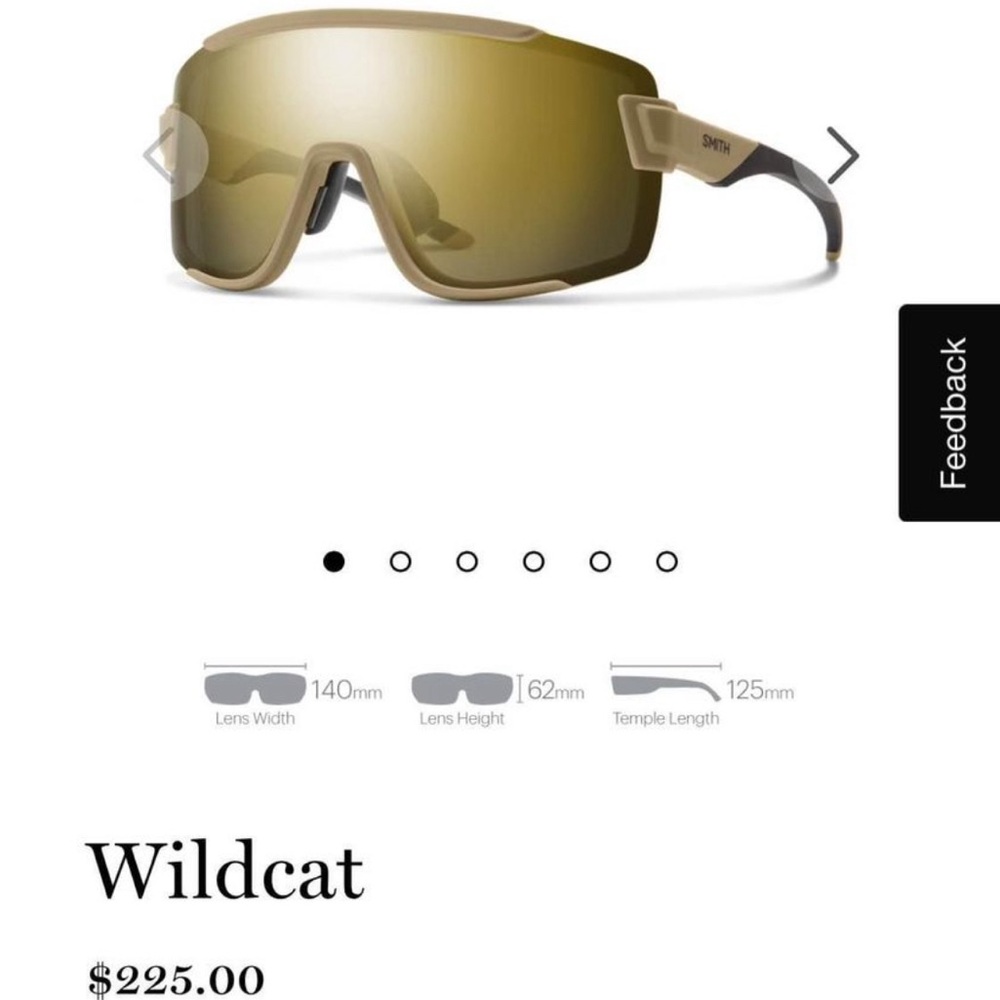 Smith wildcat sunglasses